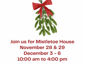 Read more about the article Mistletoe House